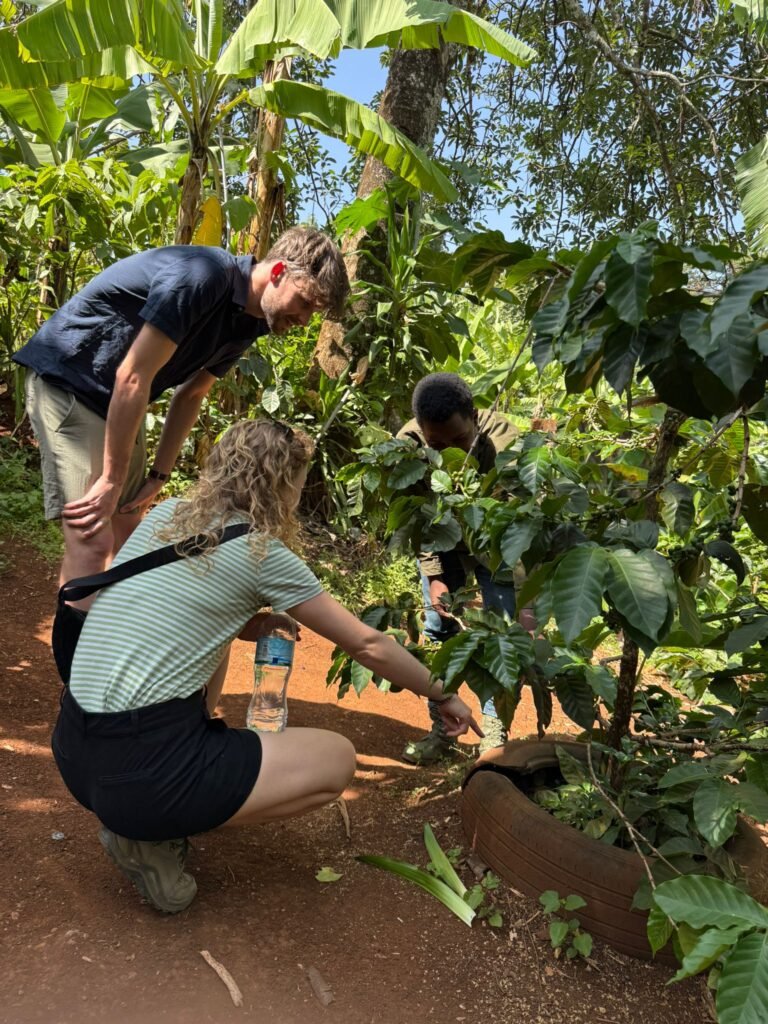 Three people crouch in a tropical garden, examining plants near a large circular planter with lush green leaves around them.