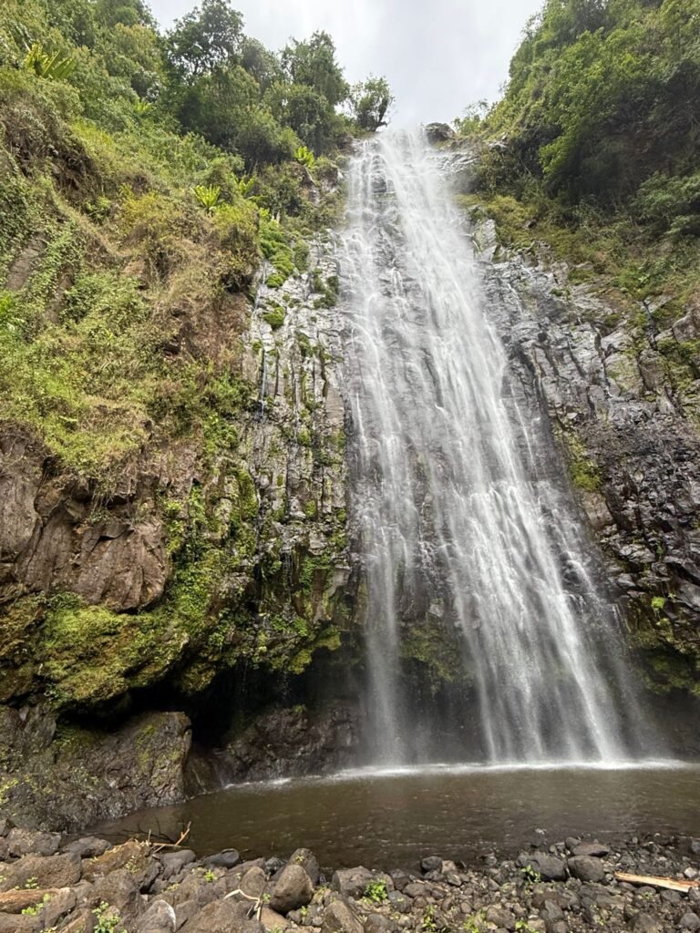 Waterfall cascading down a rocky cliff into a pool, surrounded by lush green vegetation and mossy rocks.