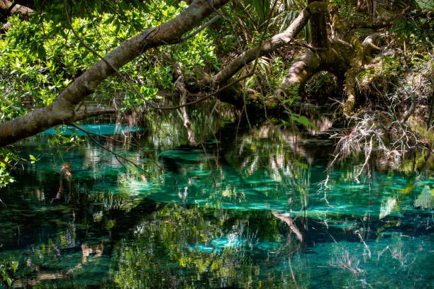 Chemka Hot springs 