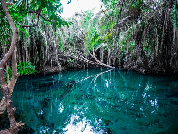 Chemka Hot springs 