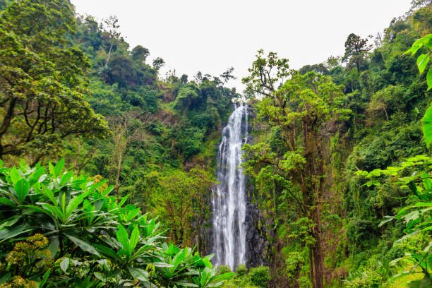 View of Materuni waterfall on the foot of the Kilimanjaro mountain in Tanzania | Chamecha Mana Culture Tourism