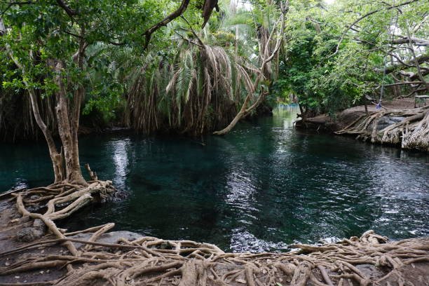 The Kikuletwa hot springs close to Moshi Tanzania 2021 | Chamecha Mana Culture Tourism