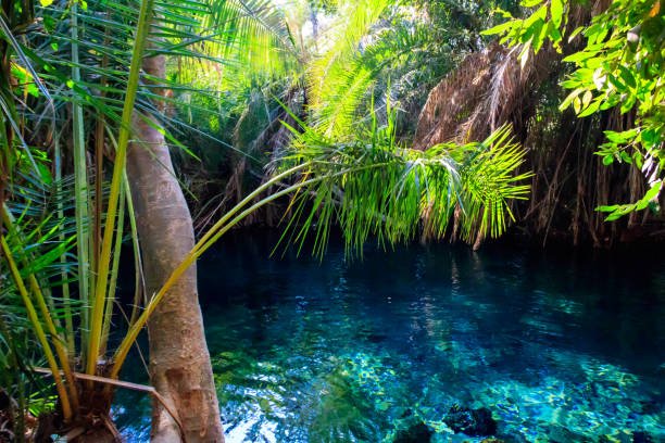 Chemka Hot springs 